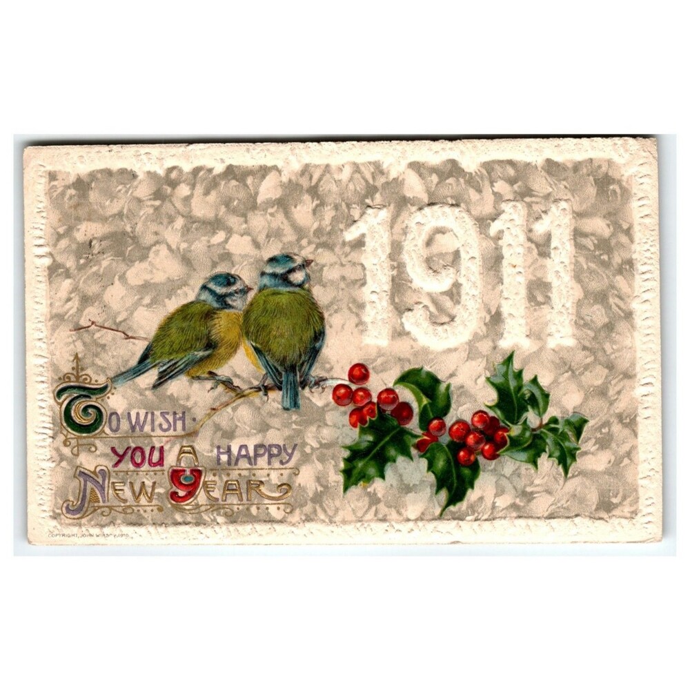 Vintage 1911 Happy New Year Postcard Embossed Bluebirds Holly John Winsch